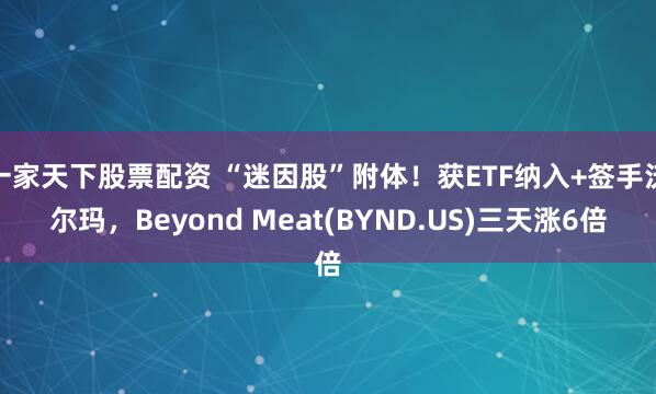 一家天下股票配资 “迷因股”附体！获ETF纳入+签手沃尔玛，Beyond Meat(BYND.US)三天涨6倍